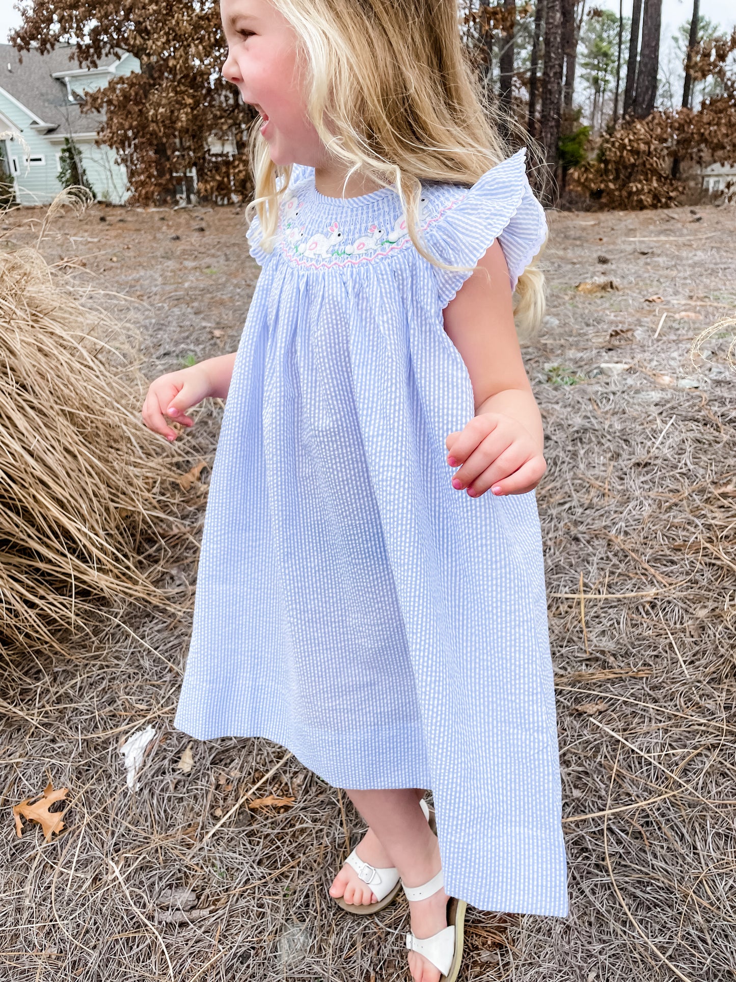 Blue Seersucker Smocked Easter Bunny Dress